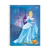 CAD CD UNIV PRINCESAS FIT 1M 80F - RISKEI.COM
