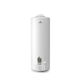 Termotanque A Gas Caloragua Longvie 110 Litros Ca110 Color Blanco