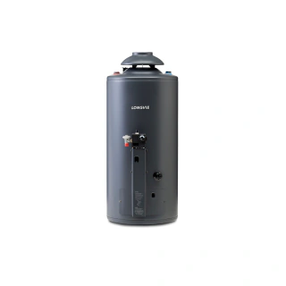 Termotanque Longvie Potenciado Dual 56 Litros Tp860ar-n