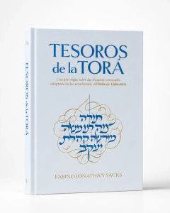 TESOROS DE LA TORA - comprar online
