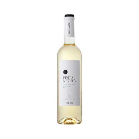Vinho Pinta Negra Branco 750ml