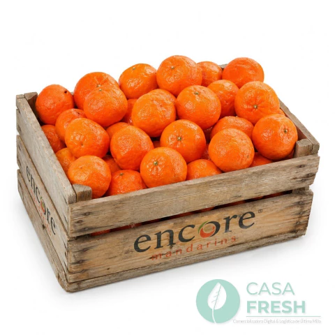 MANDARINA ENCORE - comprar online