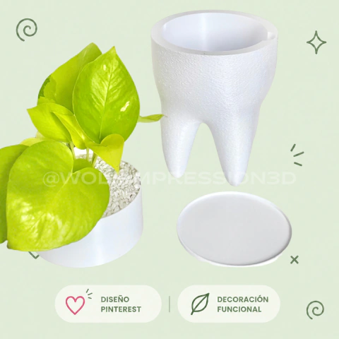 Maceta Muela 3D | Decoración Original y Divertida