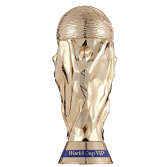 World Cup VIP