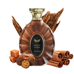 Oudy na internet