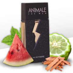 Animale For Men na internet