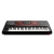 Teclado Korg PA700 Sintetizador Arranger 61 Teclas RX Pantalla Tactil HDMI