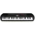 Teclado Infantil Casio Sa81 44 Teclas! - comprar online