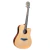 Guitarra Electroacustica Palmer Pd46ceqn C/eq Y Funda !