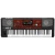 Teclado Korg Pa700 Or Oriental - comprar online