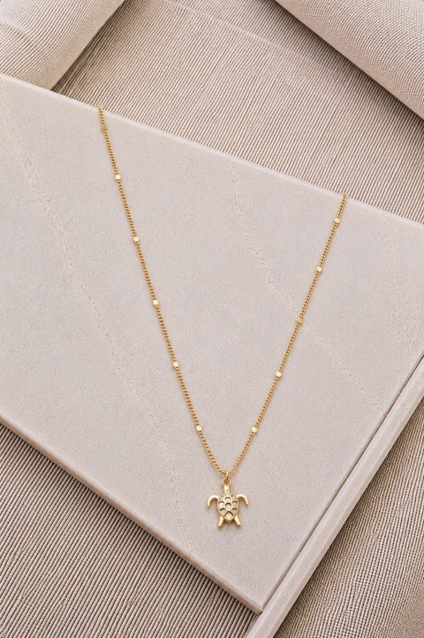 Colar Dourado Tartaruga