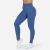 Leggings Seamless en internet