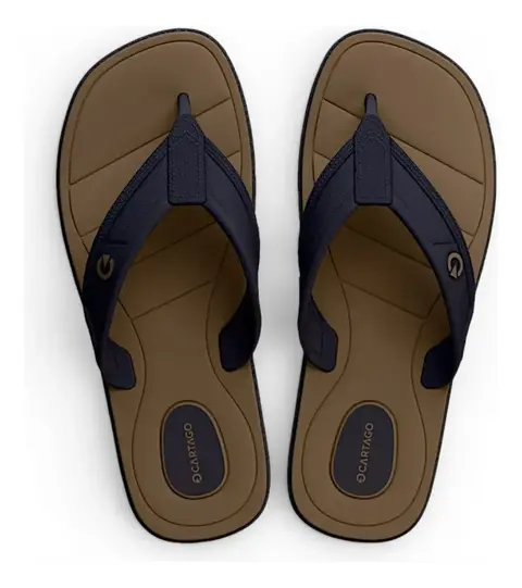 Chinelo Masculino Cartago Aspen II 12641