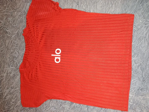 Remera aló ladrillo talle único