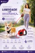 Guia Retrátil Keplah™ 3 Metros Para Cães e Gatos Até 20kg | Segurança, Controle e Liberdade no Passeio na internet