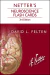 Netter's Neuroscience Flash Cards