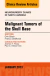 Malignant Tumors of the Skull Base, An Issue of Neurosurgery Clinics