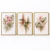 Imagem do Quadro Decorativo Trio Harmonia Tropical