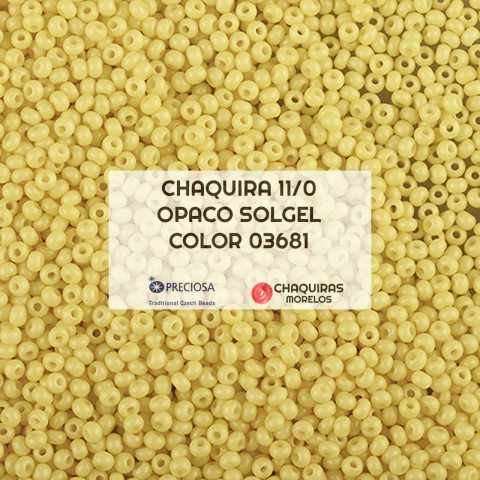 CHAQUIRA TAMAÑO 11/0 COLOR 03691