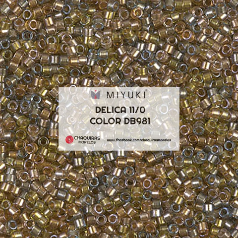 DELICA COLOR DB981 - comprar en línea