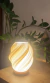 Imagem do Luminária Liz Decorativa Luz Quente e Fria