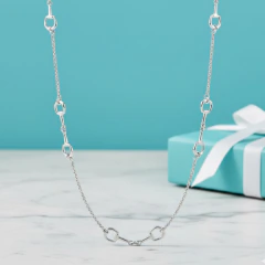 Chocker bridão prata 925