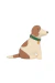 Almofada Lorena Canals Dogs Cooper 45 x 36 x 11 cm