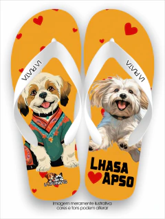 Lhasa Apso