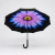 Sombrilla Grande Doble Vista Floral con Mango Curveado Reforzado