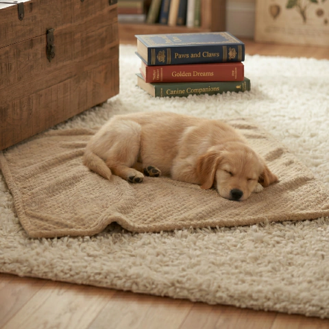 Manta Polar Waflle Para Cachorros Ultra Suave 100 X 70 Cm - comprar online