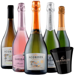 Kit Pelos Vinhedos da Garibaldi + BRINDE Champanheira