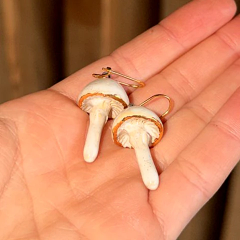 Aros Marfíl · Fungi Real