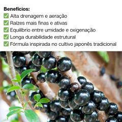 Substrato Premium Japonês Para Mirtáceas 2L - loja online