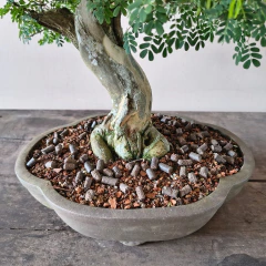 Adubo Orgânico Peletizado Ishiyama Classe A 1kg com Micorrizas - comprar online