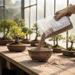 Substrato Japonês Premium para Bonsai de Ginkgo Biloba 2 Litros - Solluna Vitrine
