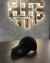 Bone Lauren Classi - loja online