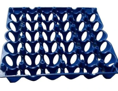 MAPLE PLASTICO 30 HUEVOS
