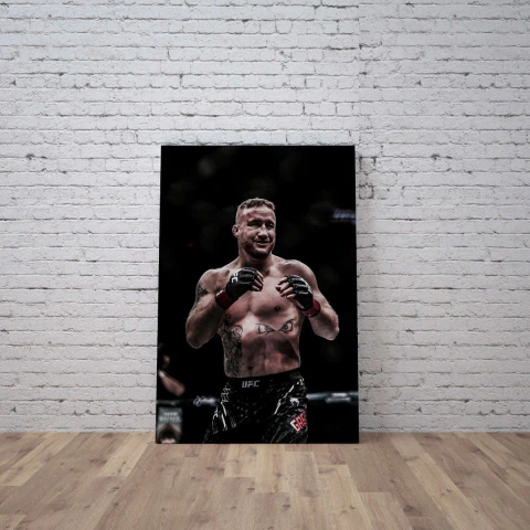 Ufc 0066
