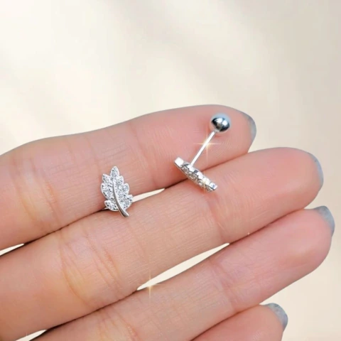 Aros Plata E2433