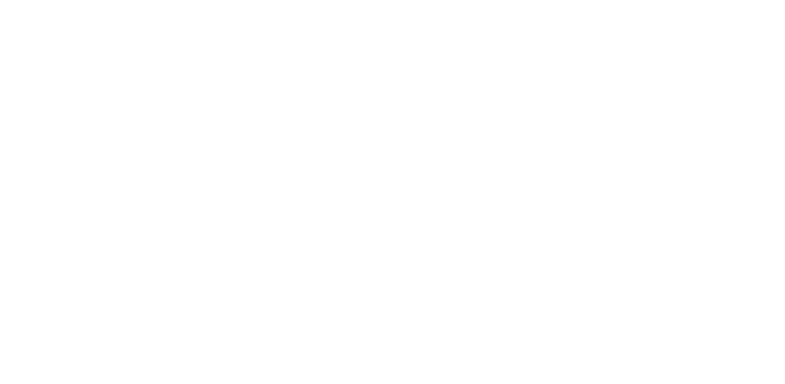 Sócio Gestor