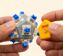 Pelota Clickers - Insight