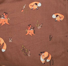 Pijama Manga Longa Raposinha Caramelo na internet