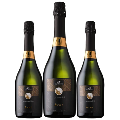 Kit 3 Garrafas de Espumante Brut