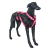 Peitoral Cachorro Com Guia Qr Code Localizador Multipatas Ajustável Rosa - comprar online