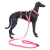 Peitoral Cachorro Com Guia Qr Code Localizador Multipatas Ajustável Rosa - loja online