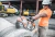 TRONZADORA  350mm/14 TS420 STIHL en internet