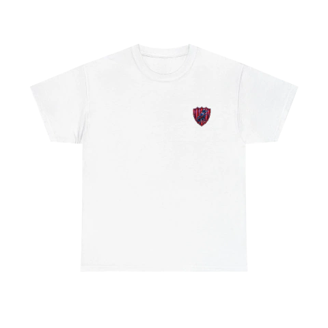Remera 1229 02/10