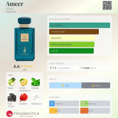Ameer EAU de Parfum 100ml na internet