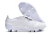 CHUTEIRA CAMPO ADIDAS PREDATOR ACCURACY ELITE TONGUE