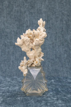 One of a kind Sea 02